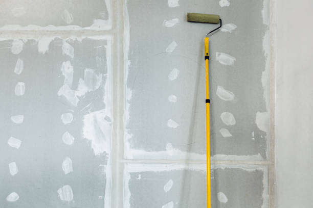 Best Drywall Removal and Disposal  in Carnation, WA