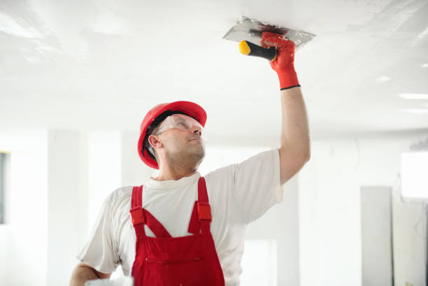 Best Ceiling Drywall Installation  in Carnation, WA